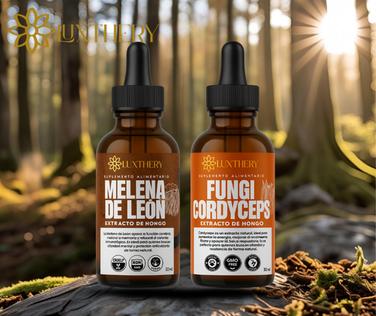 DUALMIND – Enfoque mental + energía que rinde